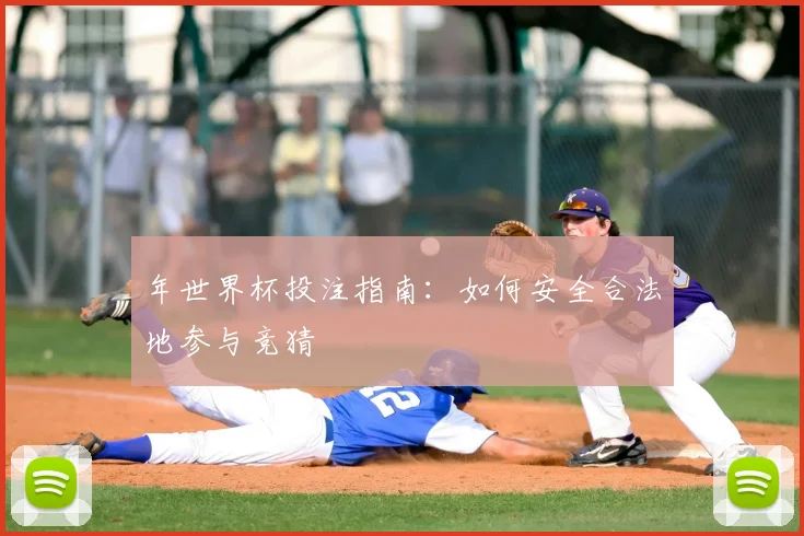 年世界杯投注指南：如何安全合法地参与竞猜